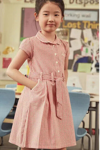 Next Cotton Rich Belted Gingham School Dress With Scrunchie